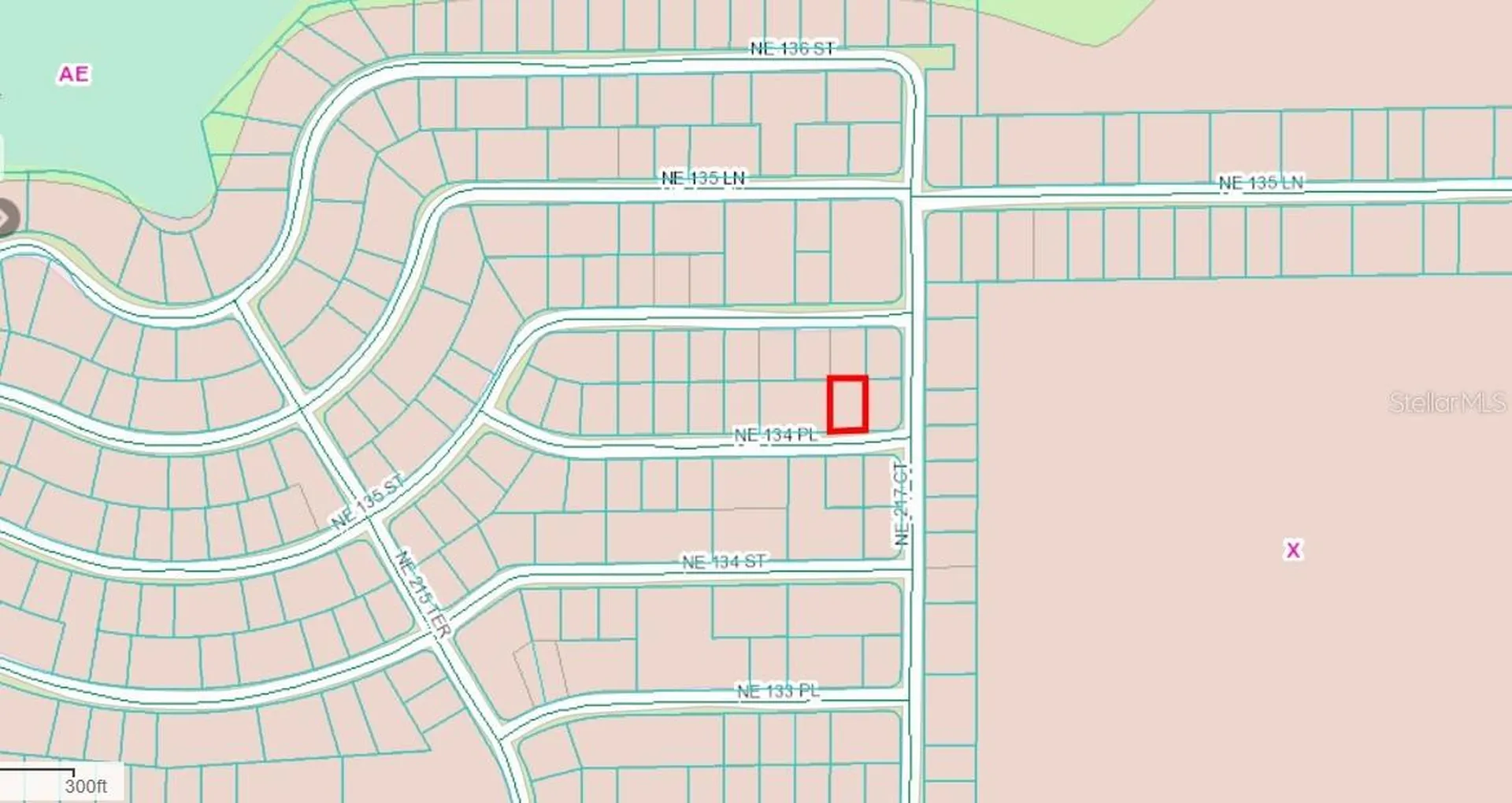 NE 134 Place Salt Springs FL 32134