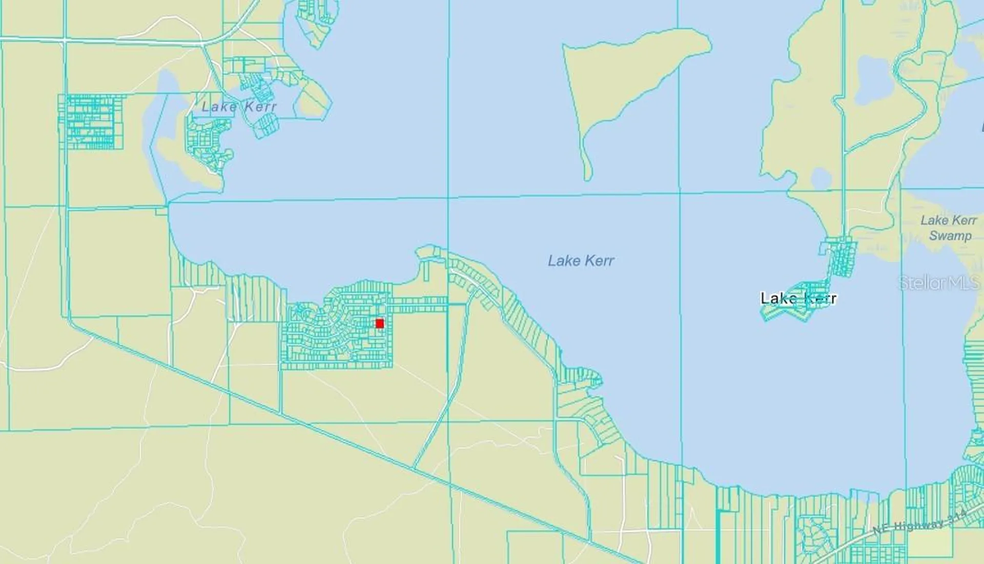 NE 134 Place Salt Springs FL 32134