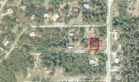 NE 134 Place Salt Springs FL 32134