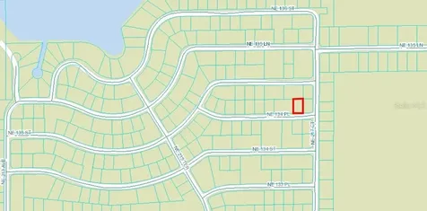 NE 134 Place Salt Springs FL 32134