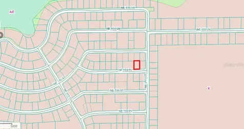 NE 134 Place Salt Springs FL 32134