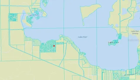 NE 134 Place Salt Springs FL 32134