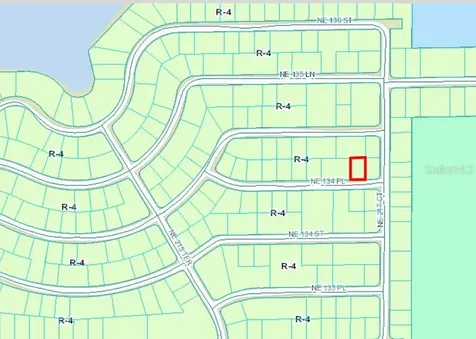NE 134 Place Salt Springs FL 32134