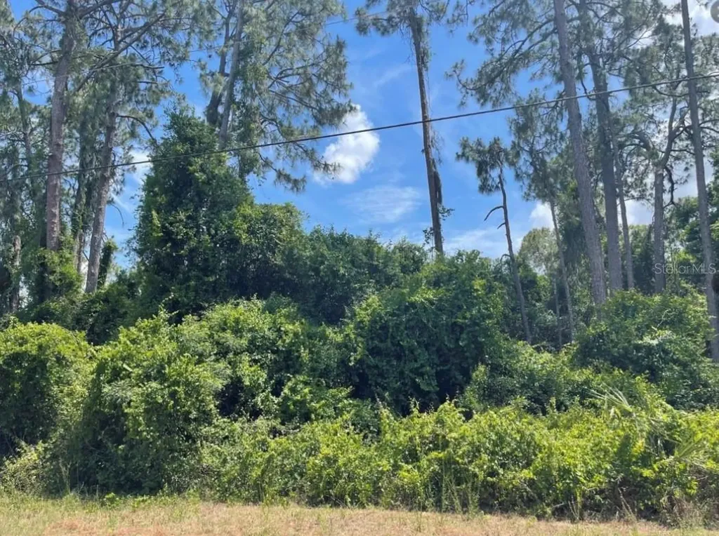 Senate Avenue North Port FL 34291