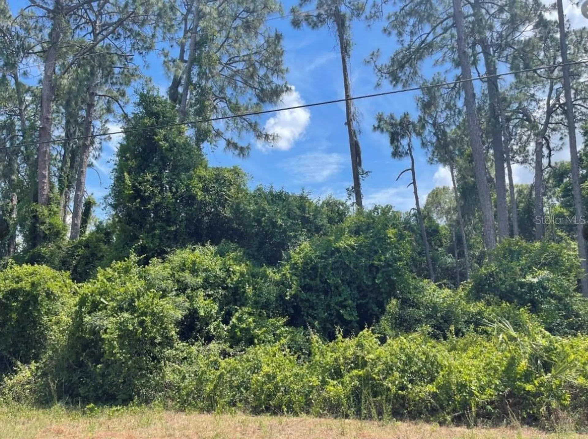 Senate Avenue North Port FL 34291