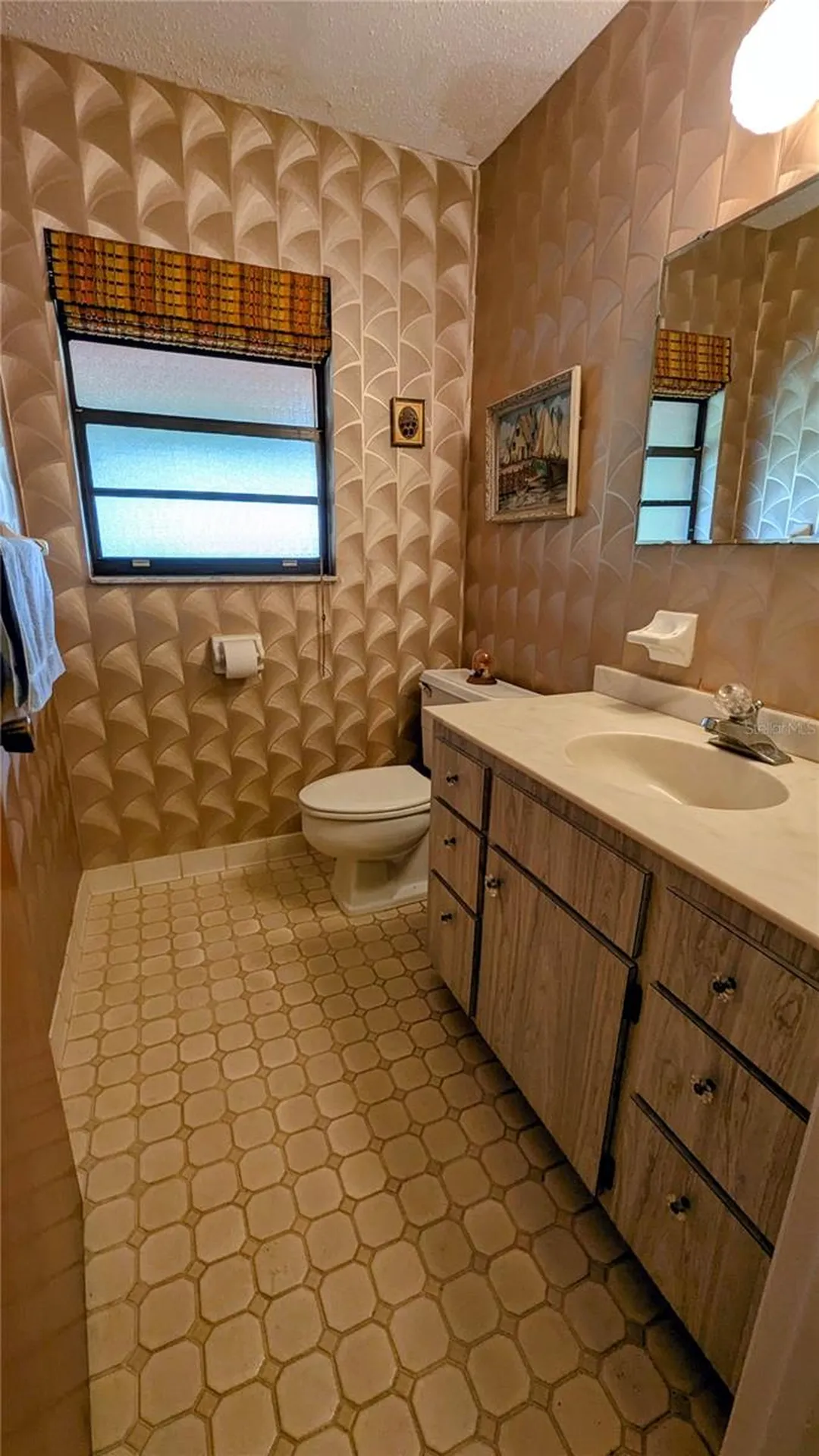 5309 County Road 114d Wildwood FL 34785