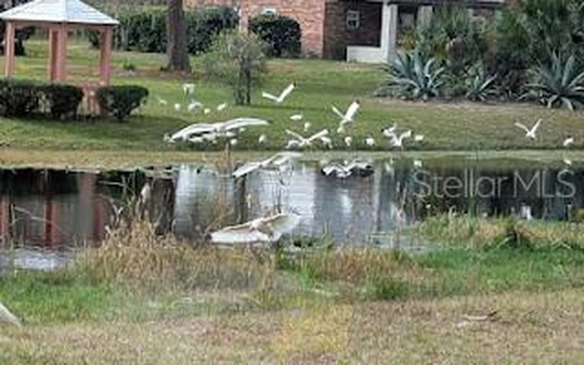 5309 County Road 114d Wildwood FL 34785
