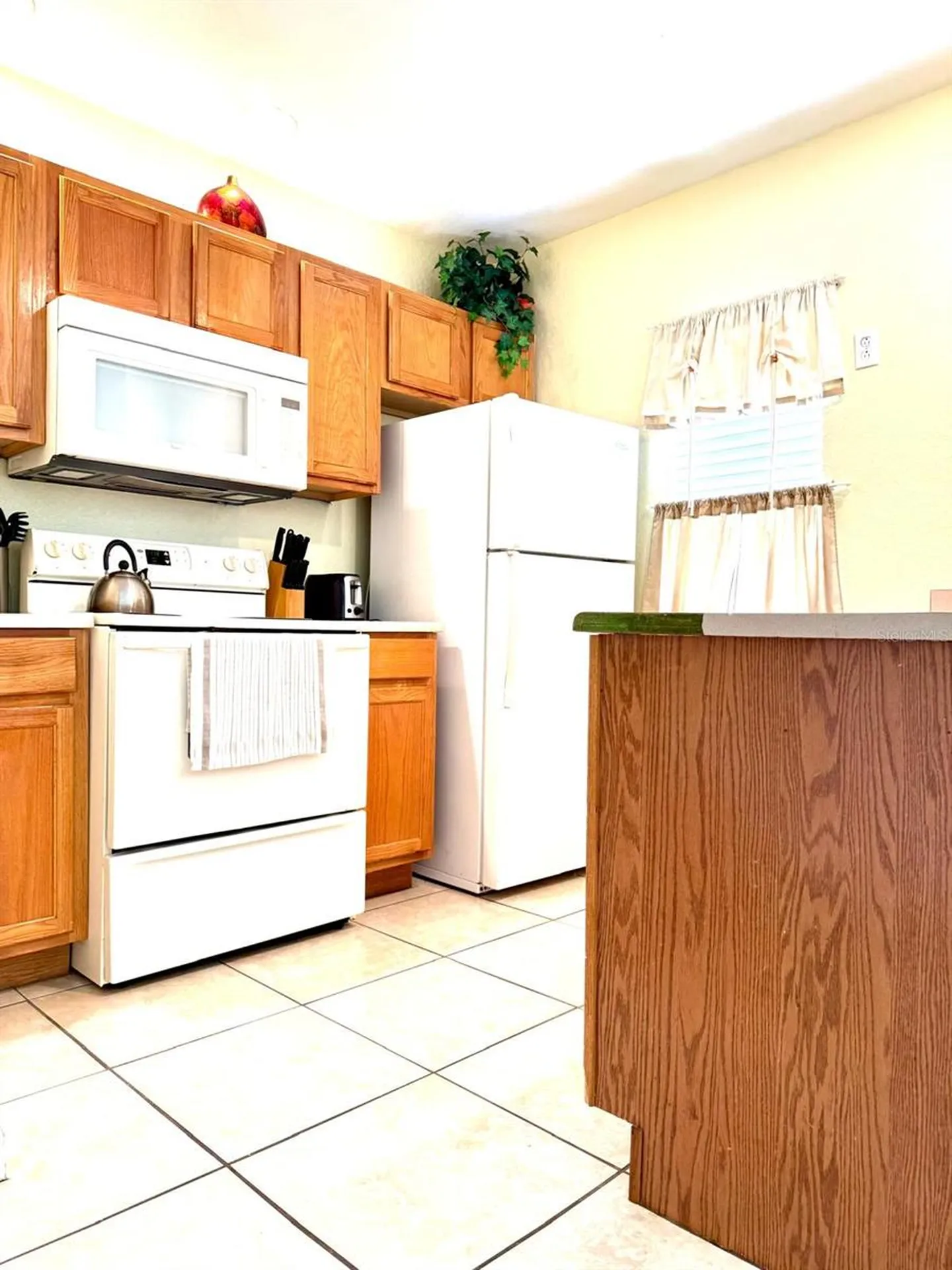 4001 San Sebastian Drive Kissimmee FL 34741
