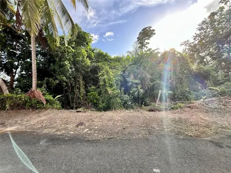 La Jalda Carolina PR 00987