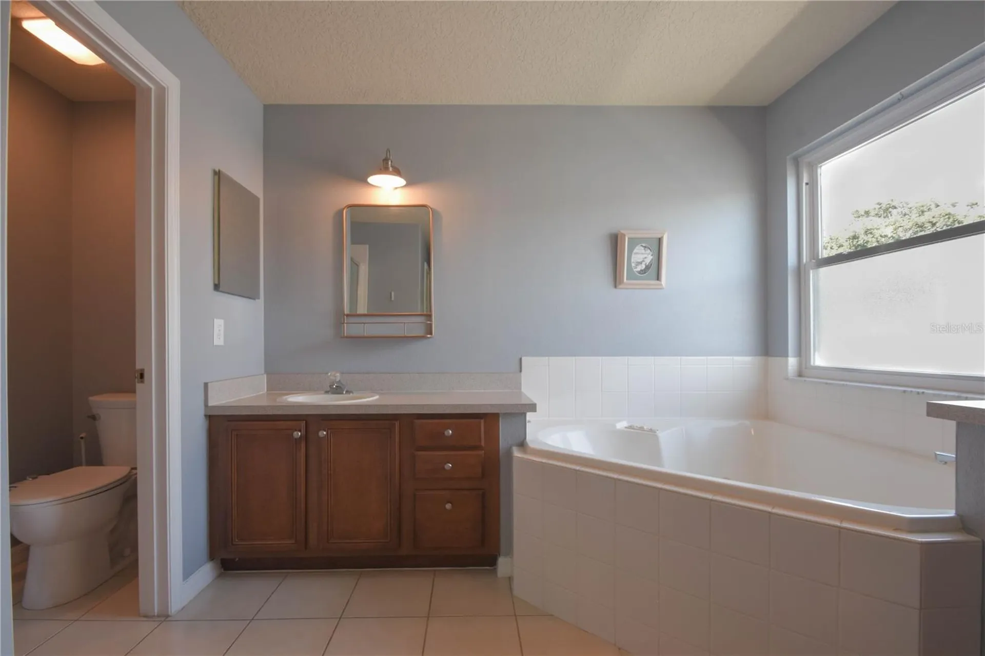 1843 Anna Catherine Drive Orlando FL 32828