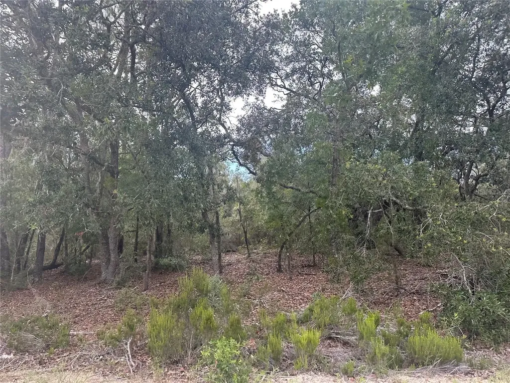 NE 85th Street Bronson FL 32621
