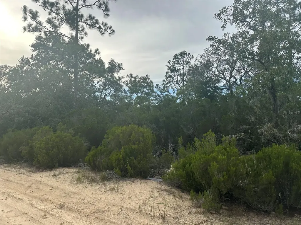 NE 85th Street Bronson FL 32621