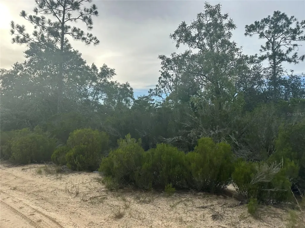 NE 85th Street Bronson FL 32621
