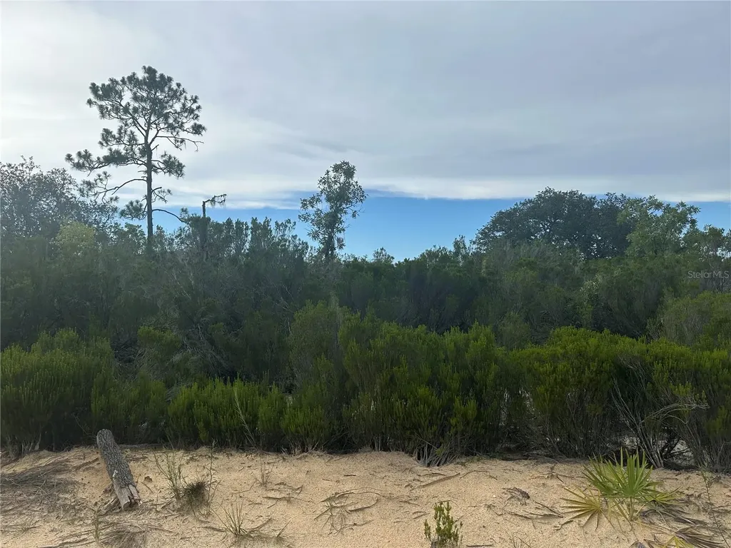 NE 85th Street Bronson FL 32621