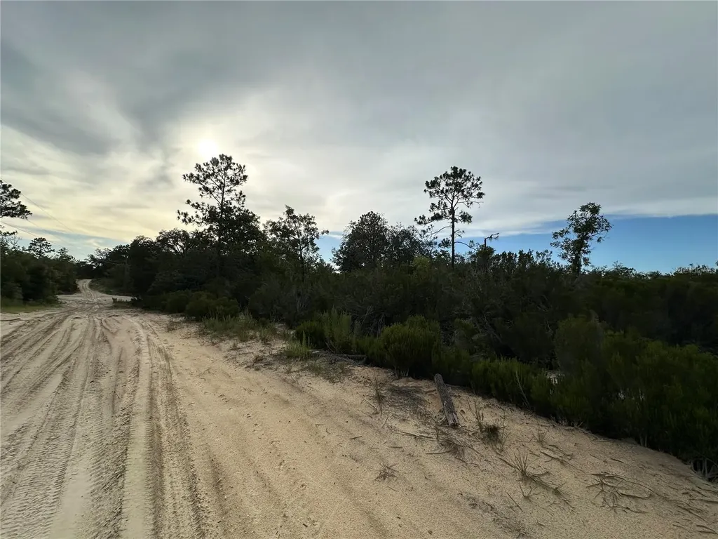 NE 85th Street Bronson FL 32621