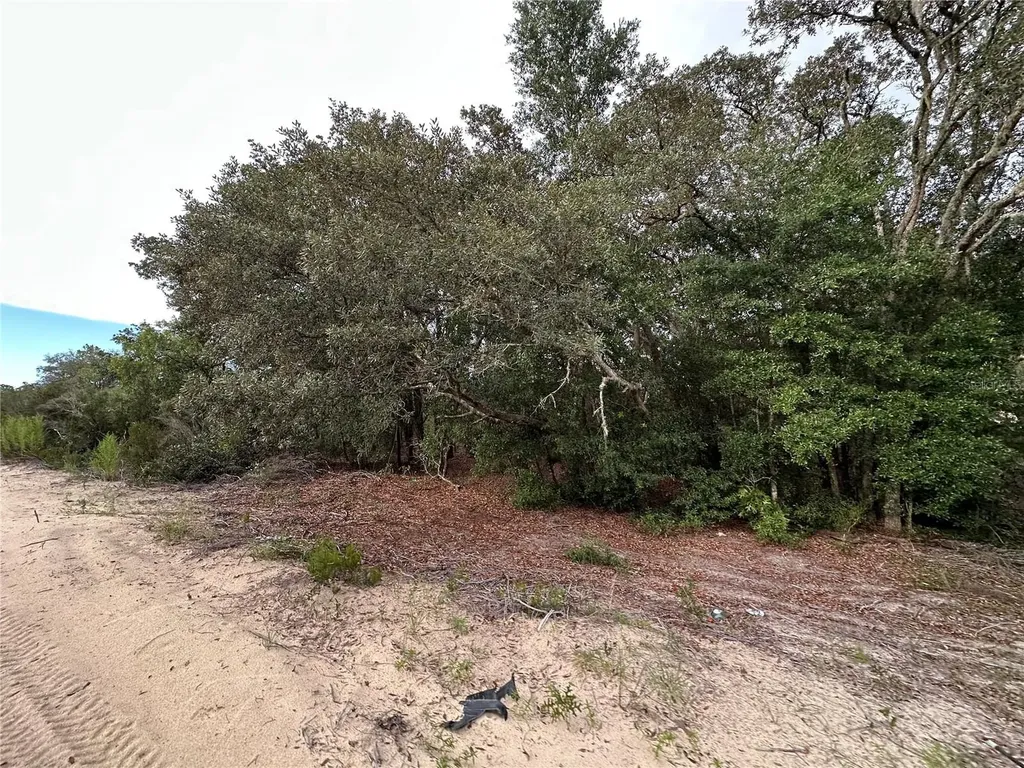 NE 85th Street Bronson FL 32621