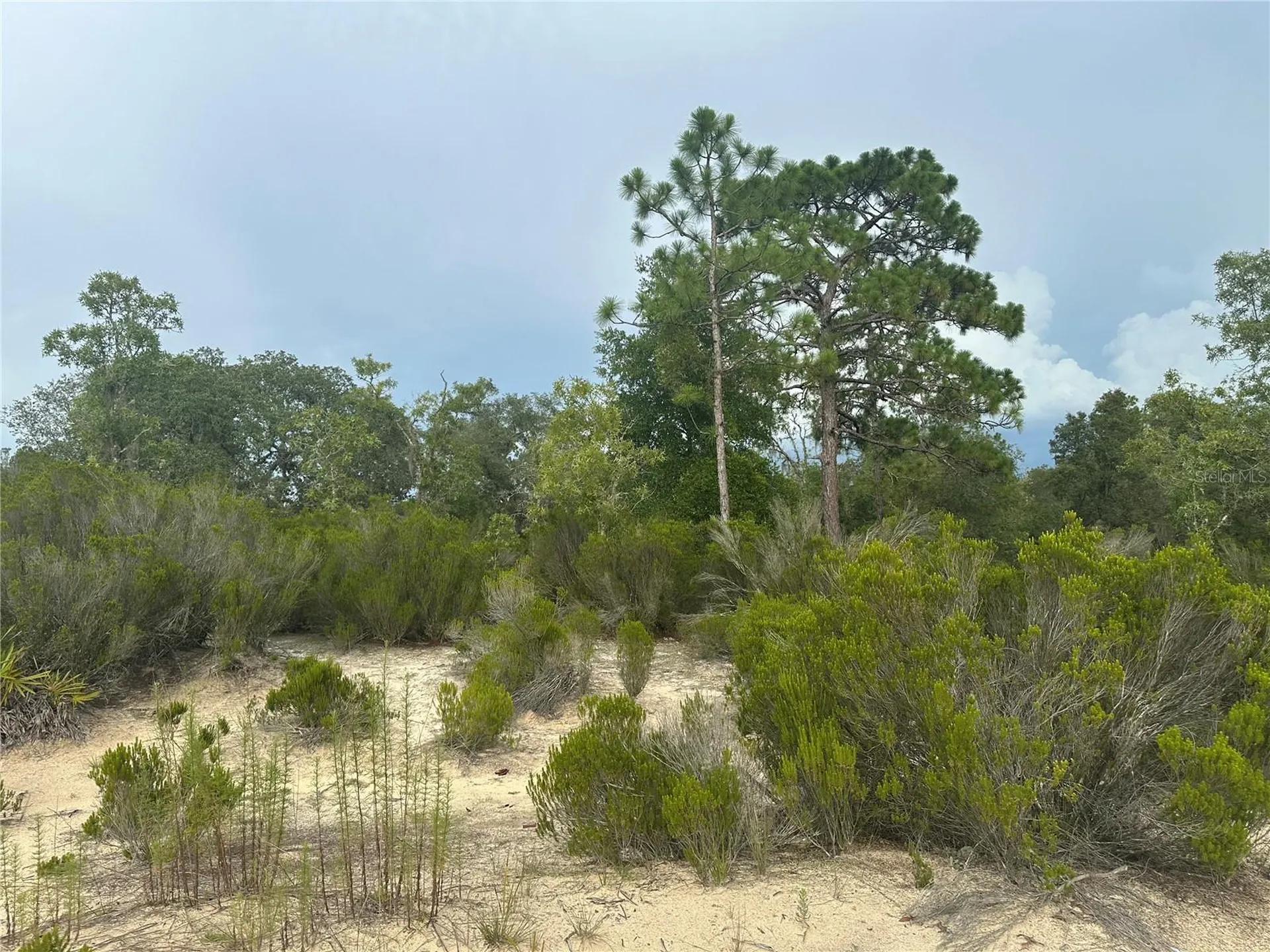 NE 85th Street Bronson FL 32621
