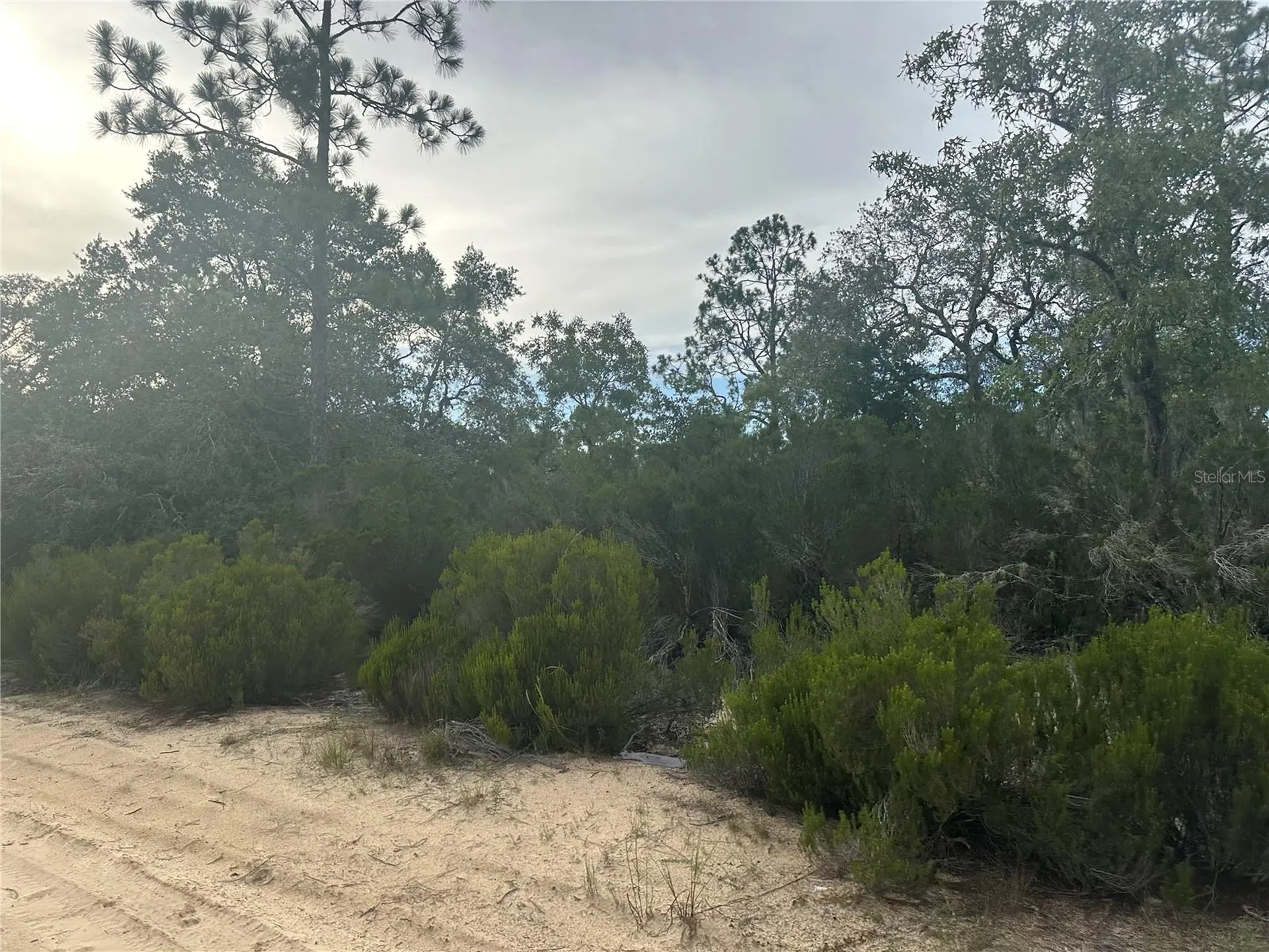 NE 85th Street Bronson FL 32621