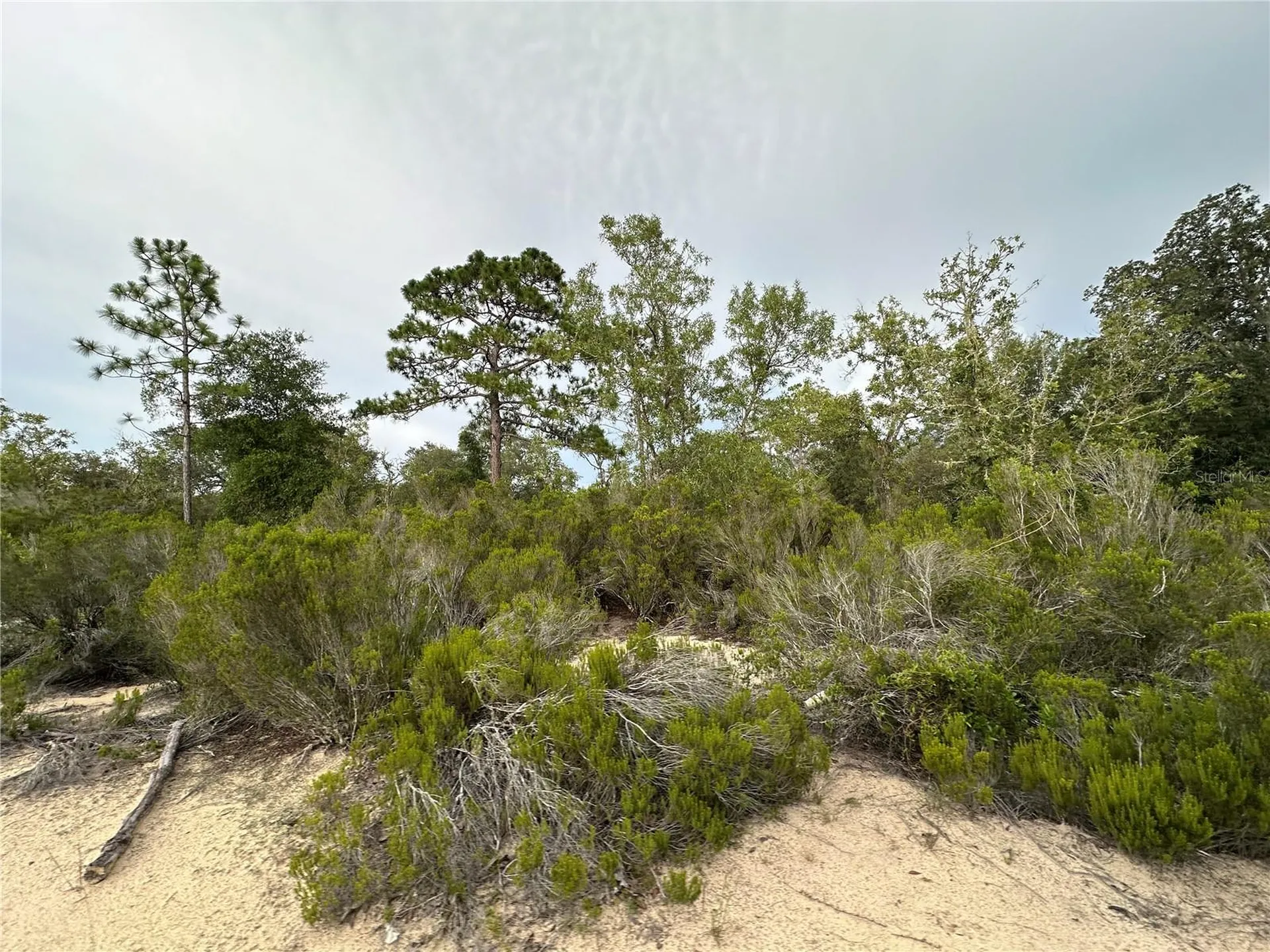 NE 85th Street Bronson FL 32621