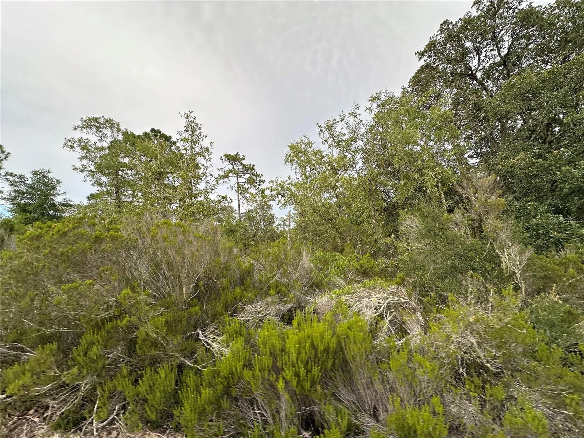 NE 85th Street Bronson FL 32621