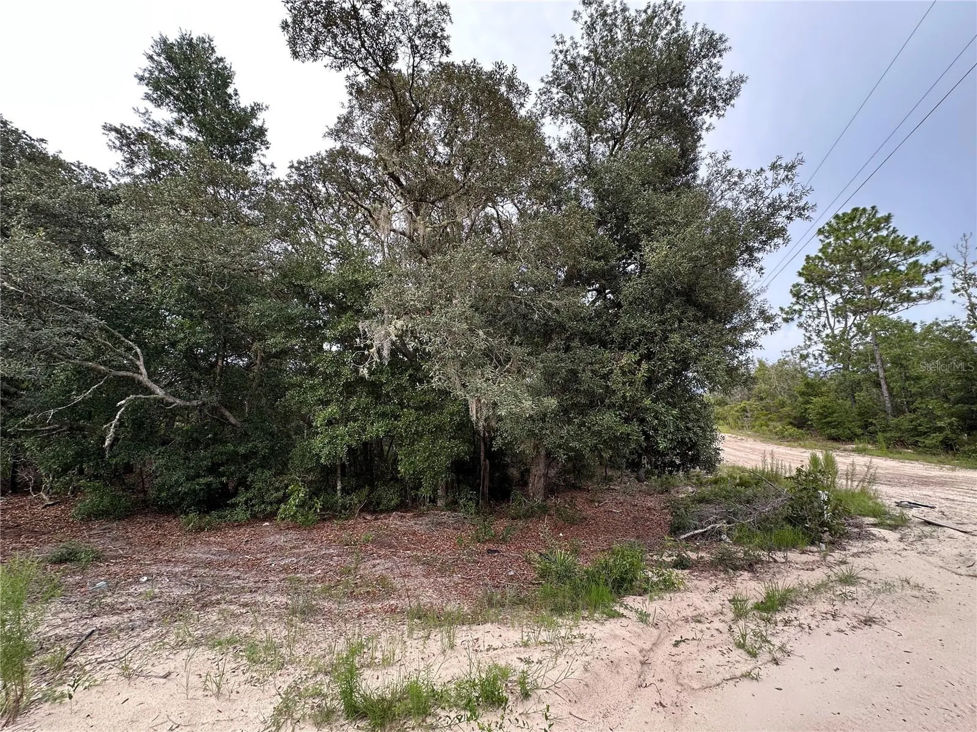 NE 85th Street Bronson FL 32621