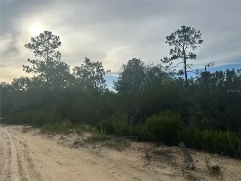NE 85th Street Bronson FL 32621