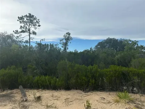 NE 85th Street Bronson FL 32621