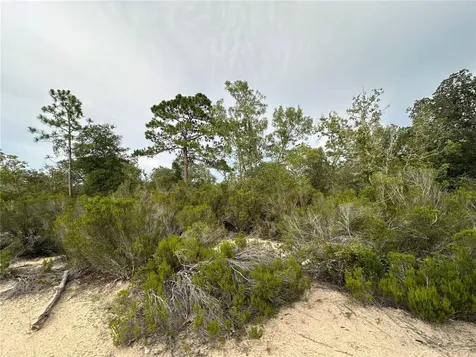 NE 85th Street Bronson FL 32621