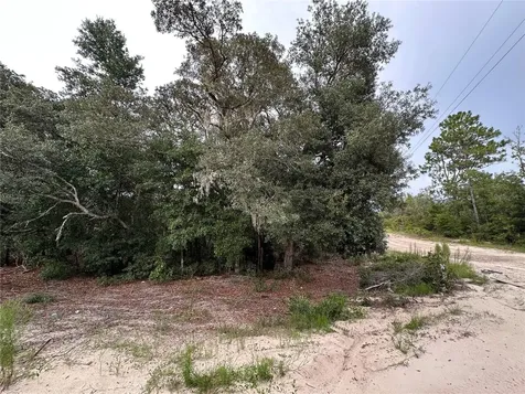 NE 85th Street Bronson FL 32621