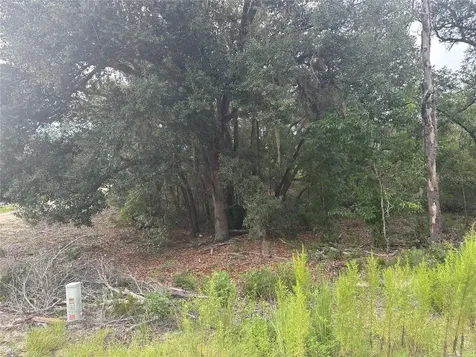 NE 85th Street Bronson FL 32621