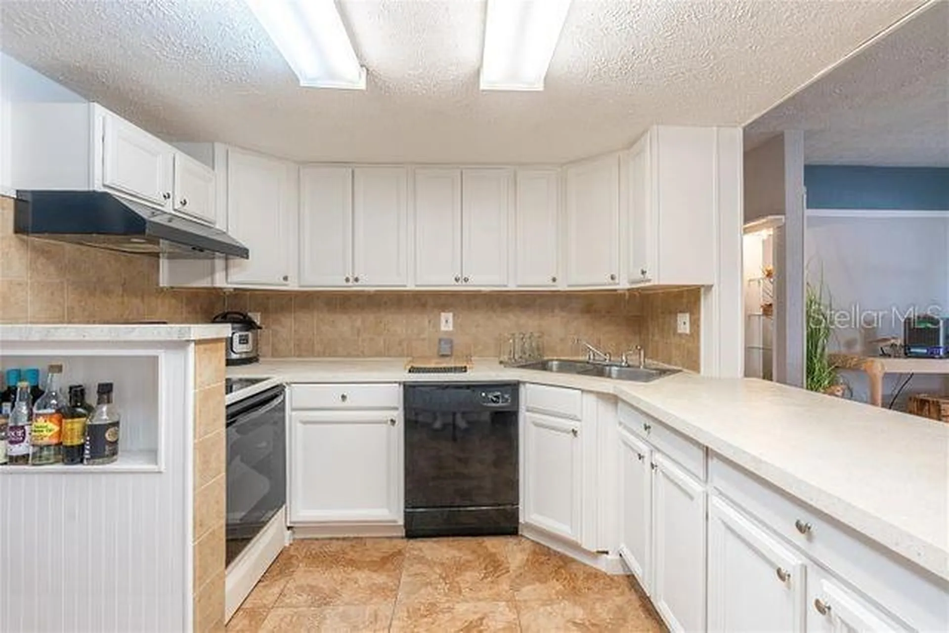 5334 Dartmouth Road New Port Richey FL 34652