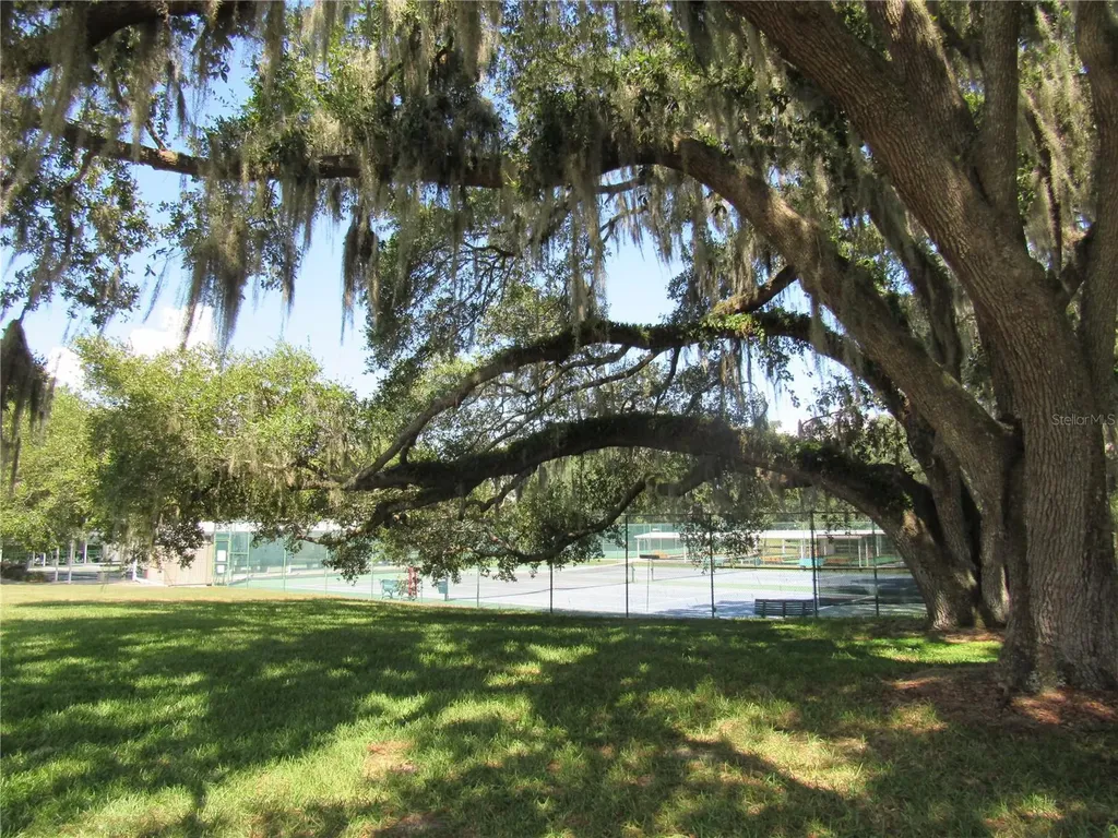 6033 Wade Street Leesburg FL 34748
