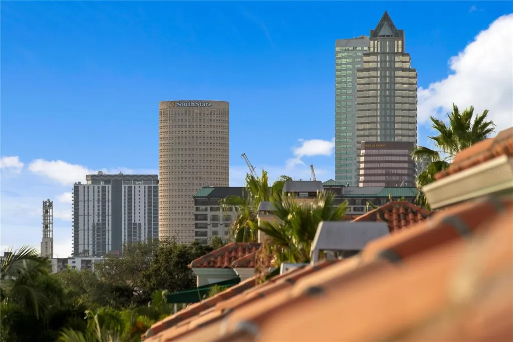 1155 Abbeys Way Tampa FL 33602