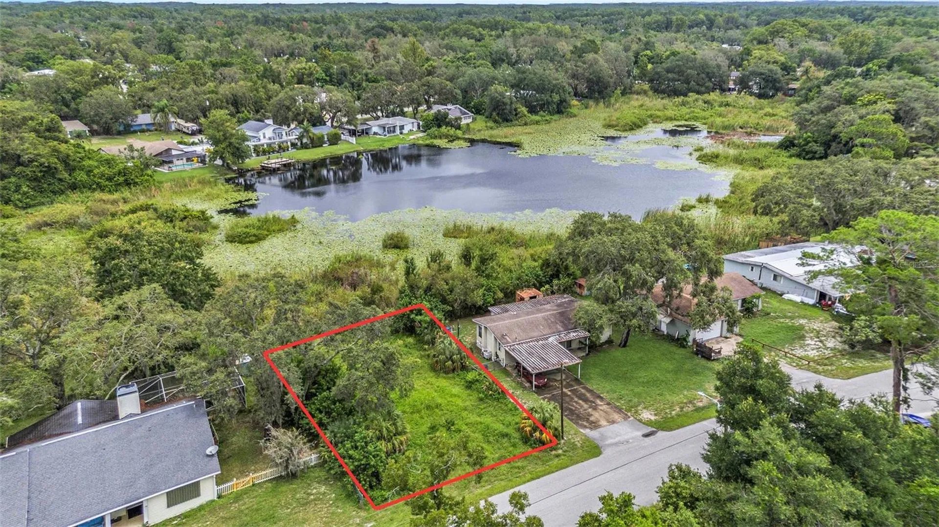 12236 Terra Ceia Avenue New Port Richey FL 34654
