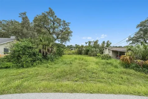 12236 Terra Ceia Avenue New Port Richey FL 34654