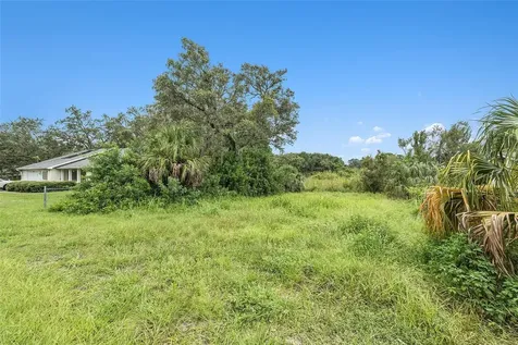 12236 Terra Ceia Avenue New Port Richey FL 34654
