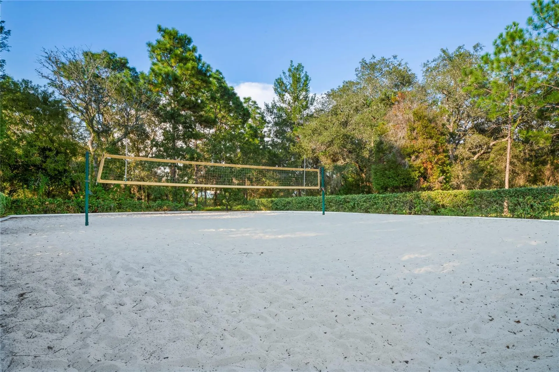 4041 Autumn Amber Spring Hill FL 34609