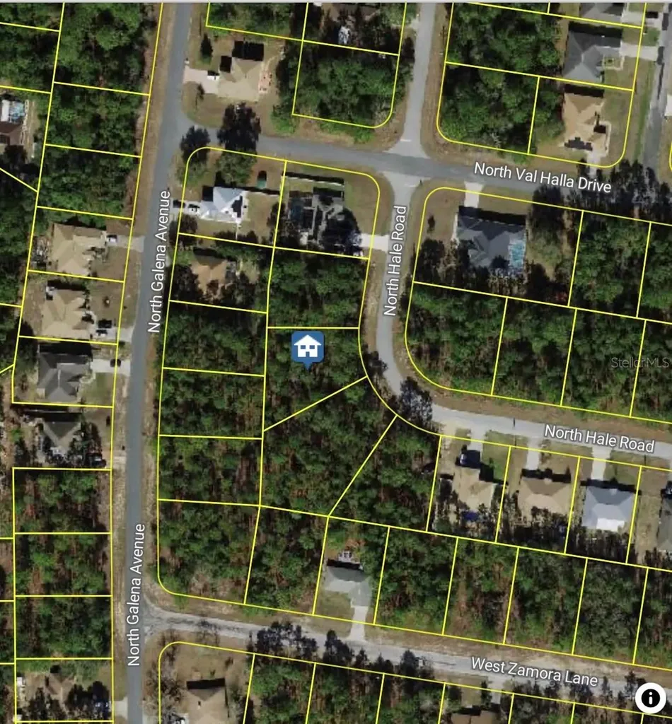 7852 N Hale Road Citrus Springs FL 34433