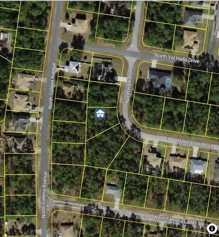 7852 N Hale Road Citrus Springs FL 34433