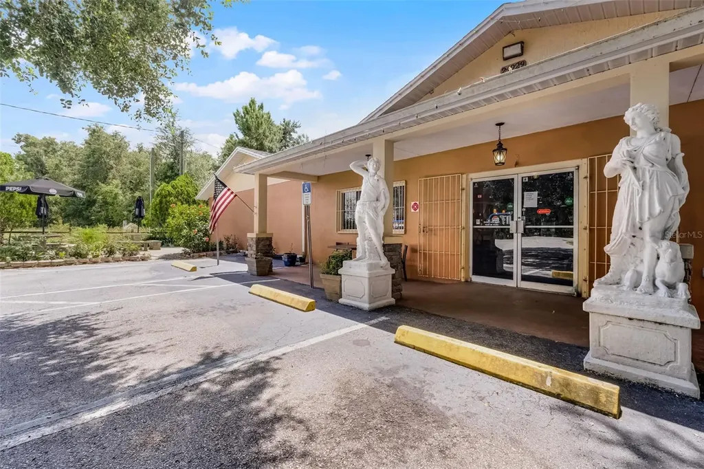 24929 County Road 42 Paisley FL 32767
