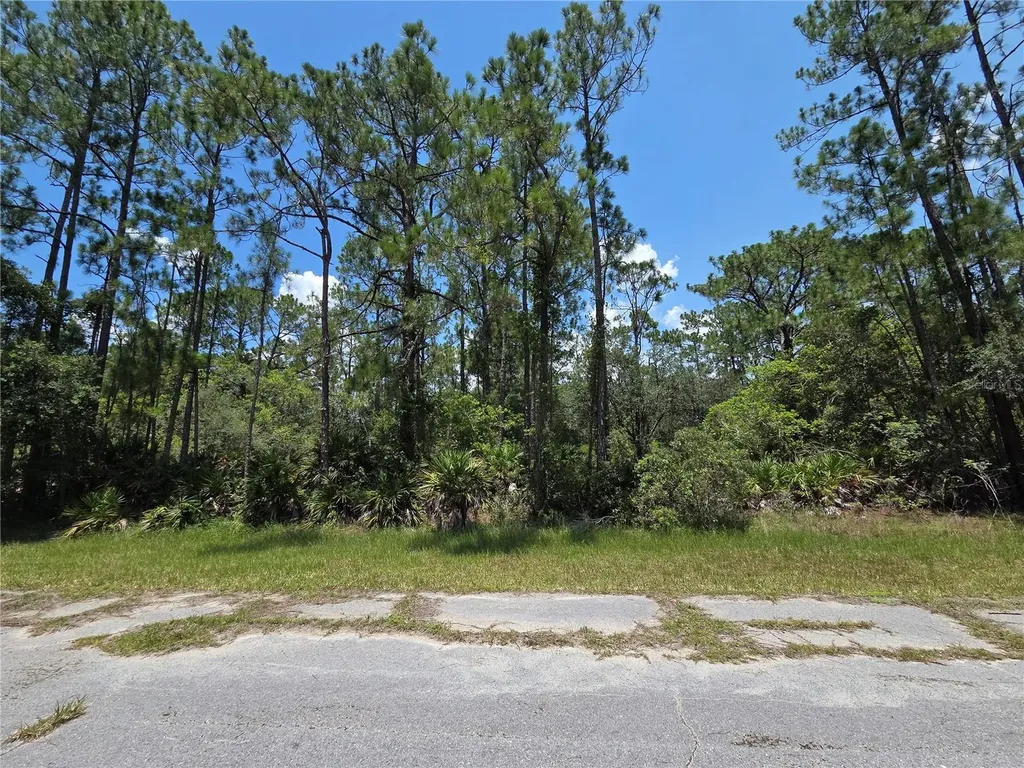 0 Allamanda Drive Indian Lake Estates FL 33855