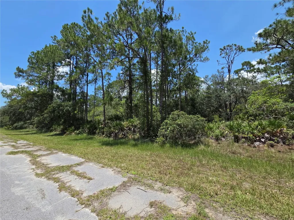 0 Allamanda Drive Indian Lake Estates FL 33855