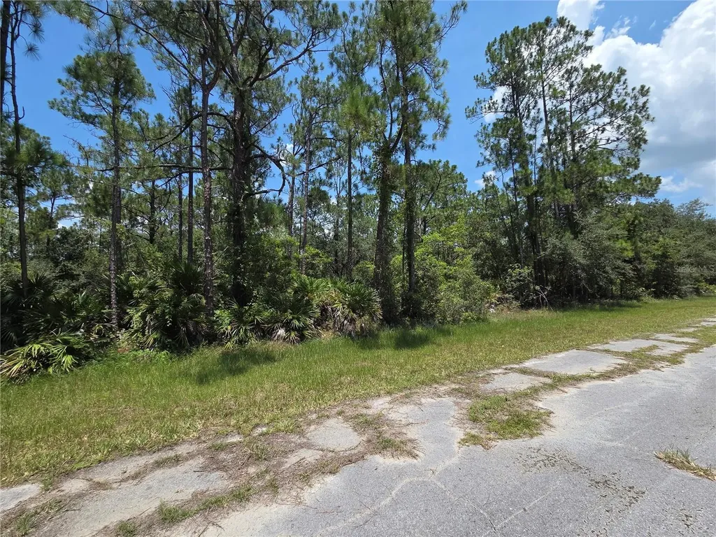 0 Allamanda Drive Indian Lake Estates FL 33855