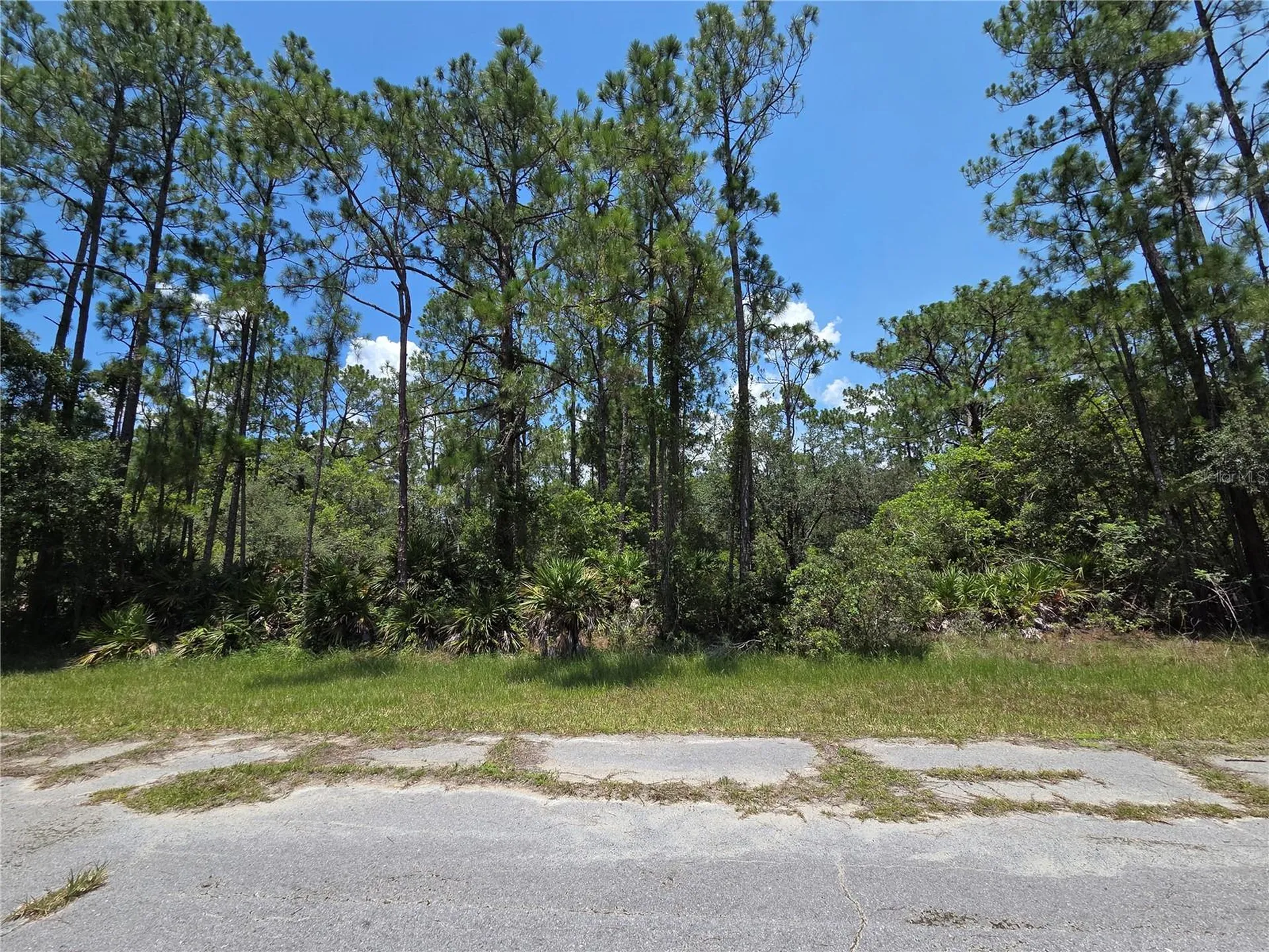 0 Allamanda Drive Indian Lake Estates FL 33855