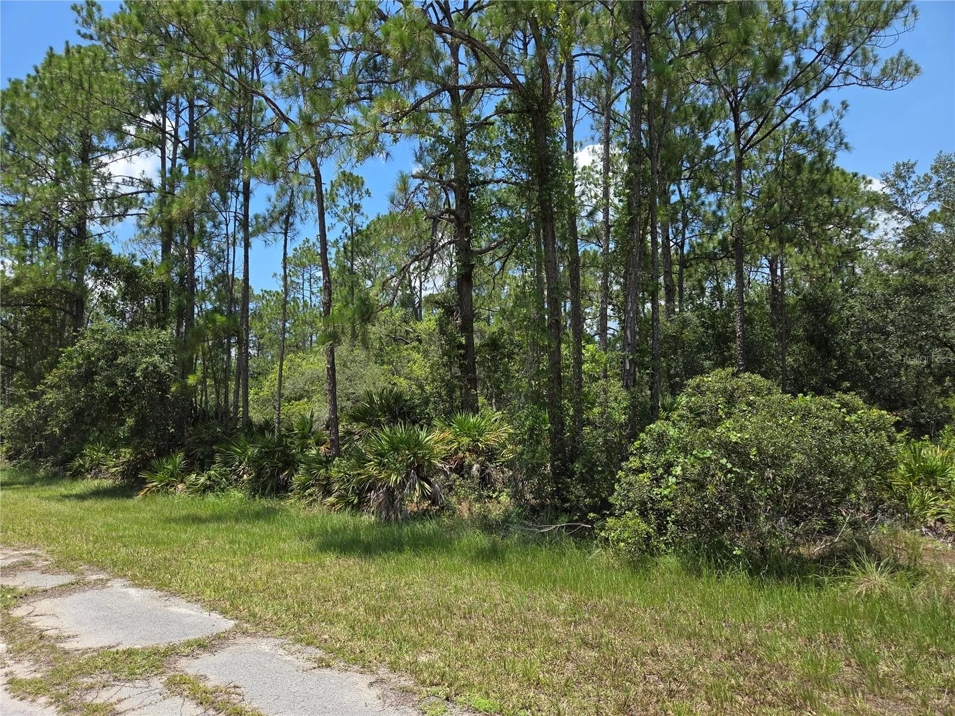 0 Allamanda Drive Indian Lake Estates FL 33855