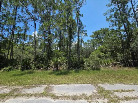 0 Allamanda Drive Indian Lake Estates FL 33855