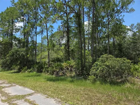 0 Allamanda Drive Indian Lake Estates FL 33855