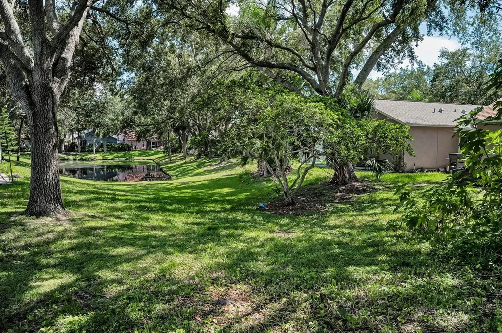 3678 Amelia Way Palm Harbor FL 34684