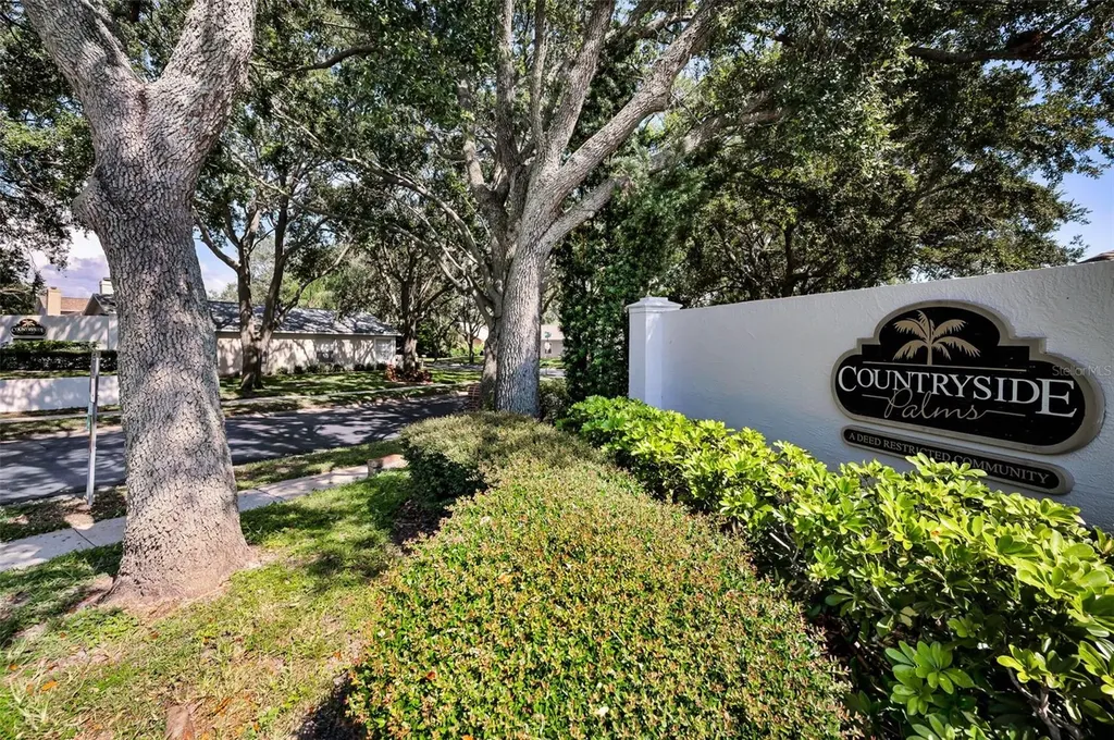 3678 Amelia Way Palm Harbor FL 34684