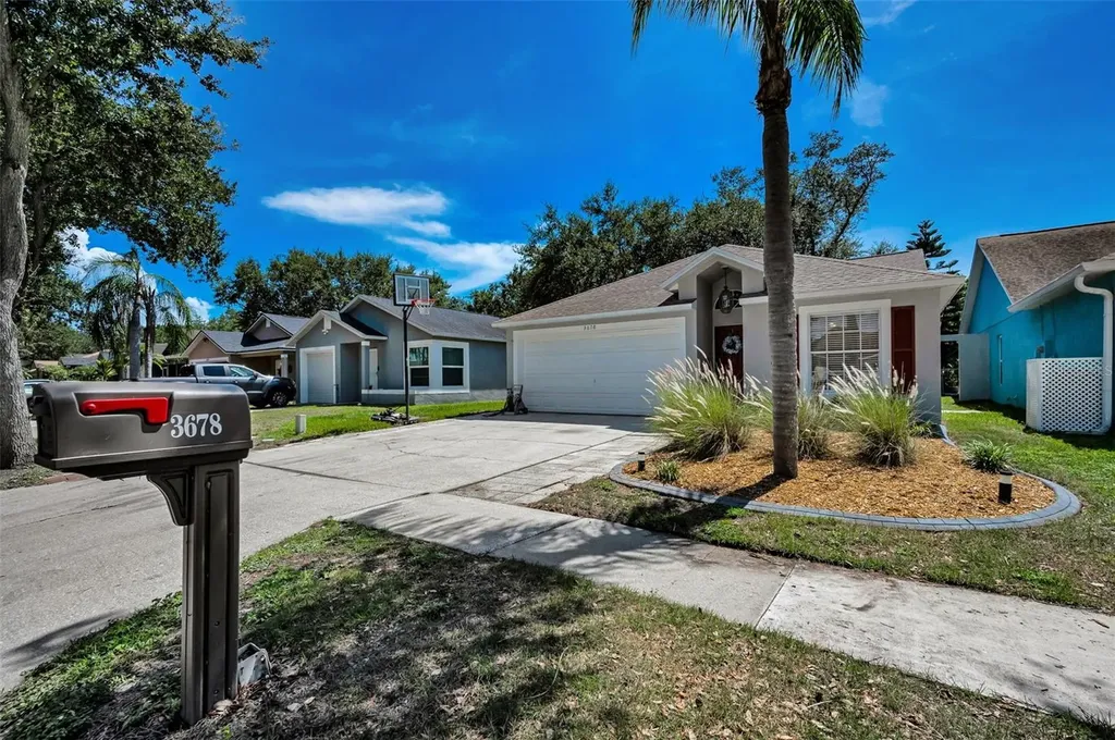 3678 Amelia Way Palm Harbor FL 34684